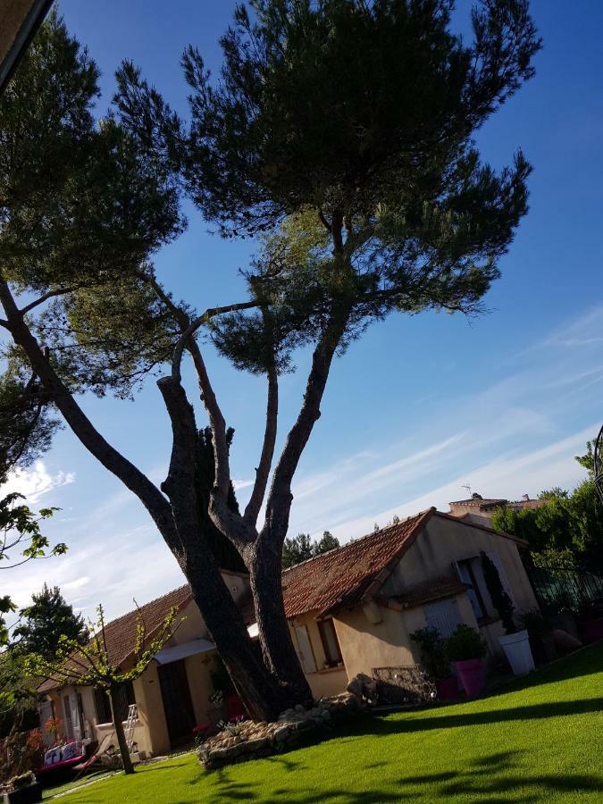 A l'Orée du Pin Aix-en-Provence Extérieur photo
